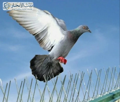 شركة تركيب طارد حمام بالإحساء 0501587694  مع الخصم والضمان إتصل نصلك