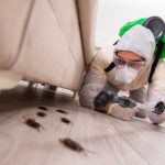 أفضل شركة رش مبيدات بالرياض