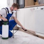 شركة مكافحة حشرات بالرياض